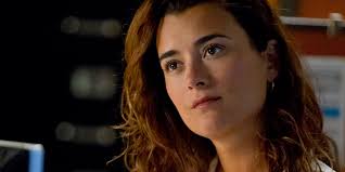 Sean Murray (NCIS) parle du départ de Cote de Pablo