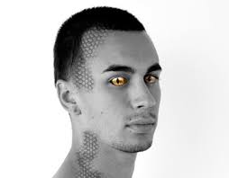 Animorphs Projects :: Photos, videos, logos, illustrations and branding ::  Behance