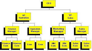 Organizational Structure Shanel Mishra Blog