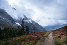 Majestic Misty Mountains in Washington State · Free Stock Photo