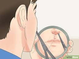 I'd recommend cutting them over plucking or waxing as it's possible to get an infection of the follicle or ingrown hairs. 3 Ways To Trim Nose Hair Wikihow
