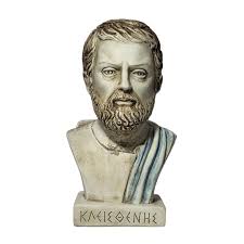 Image result for Cleistachne