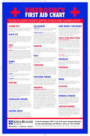 Printable Emergency First Aid Chart Firstaid Printable Emergency First Aid Chart Emergency First Aid First Aid For Children Medical Mnemonics