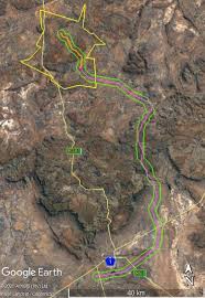 Image result for Plinthus cryptocarpus