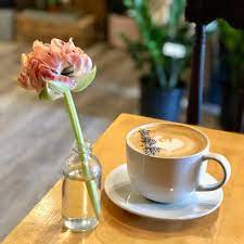 We did not find results for: Toronto S Best Hybrid Coffee Shops Cafes Sarah Freia
