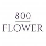 Coupon code for one 800 flowers.com. 15 Off 800flower Coupon Code September 2021 Vouchercodesuae