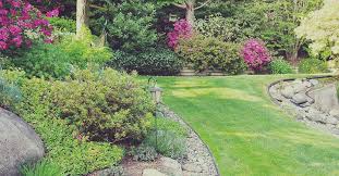 Best reviews guide analyzes and compares all lawn fertilizers of 2021. 8 New Year S Resolutions For Gardeners