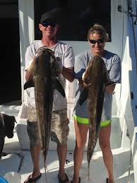 Please report back after the trip. Gulf Shores Al Fishing Report Archives Aaa Charters