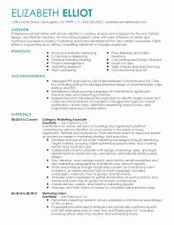 Executive Resume Samples Lovely Executive Cv Template Sales ...