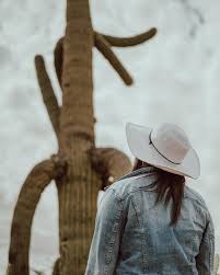 Marlin Watson (@companion_projects) • Instagram-Fotos und -Videos