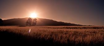 It was first split off from new south wales and proclaimed a colony in 1834. Landscape Photography Sam Roberts Photography