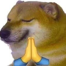 Laugh your self out with various memes that we collected around the internet. 16 Funny Dogs Ideas Funny Dogs Cute Animals Funny Animal Memes