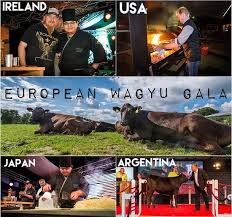 Sin horario de verano, el mismo utc compensa todo. Wagyu Munsterland Hof Holtmann Program Of The 4th European Wagyu Gala