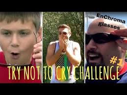 Color vision solutions that improve the human experience. Try Not To Cry Challenge 1 Enchroma Glasses Youtube