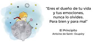 El principito para leer es uno de los libros de ccc revisados aquí. El Principito Ensenanzas Frases Celebres Autor Datos Leer Libro Online