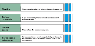 Lung cancer causes & risk factors, radon, the american cancer society: Causes And Risk Factors For Lung Cancer Portalclinic