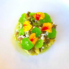 Image result for Nasturtium