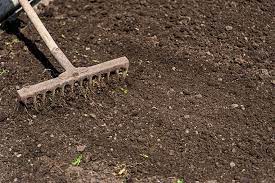 How To Plant Grass Seed | Gardeners Dream