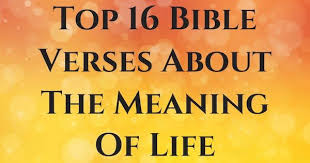 Pin On Scripture Verse