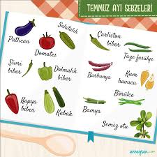 temmuz ayi sebzeleri sebzeler meyve salatalik