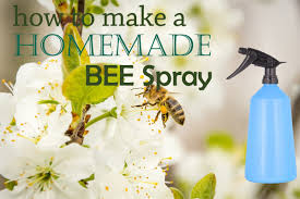 You will kill the insects, and you will be sure that your plants will be intact. 7 Useful Homemade Wasp And Bee Spray Kill Them Safely
