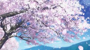 Once you apply a suitable cherry blossom overlay, your photo will acquire a romantic atmosphere. Sakura Tree Wallpaper Gif Nosirix