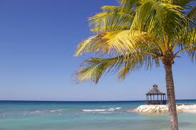 No reposts of current or recent material. Jamaica Land Of Wood And Water Country Profile Nations Online Project