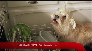 Say hello to the best pet insurance ever made. Travelers Tv Commercial Good Behavior Ispot Tv