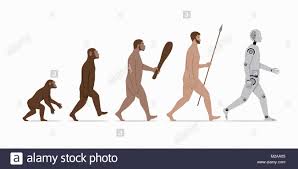 evolution cut out stock images pictures alamy