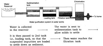 Draw A Flow Diagram To Show The Water Purification System In