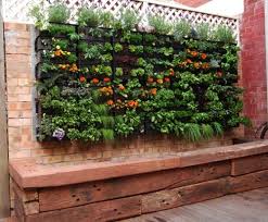 Vertical Garden Meets Aquaponics Vertical Garden Small Space Gardening Verticle Garden