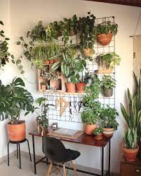 Pin By Goldy Tlv On Yummy Appetizers Plant Decor Indoor Bedroom Plants Room With Plants