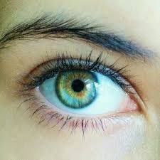 Pin By Sonia Carrera On Tumblr Aesthetic Eyes Beautiful Eyes Beautiful Eyes Color