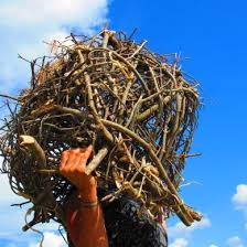 Bildergebnis für Eve Ariza