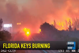 Image result for Major 342