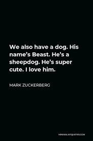 I will be a wolf. Mark Zuckerberg Quote We Also Have A Dog His Name S Beast He S A Sheepdog He S Super Cute I Love Him