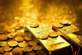 We did not find results for: 103kg Gold Worth Rs 45cr Goes Missing From Cbi Custody In Tamil Nadu India News Times Of India