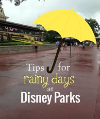 What To Do At Disney World When It Rains Disney World Vacation Disney World Disney Trips