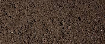Check spelling or type a new query. Semer Du Gazon En 5 Etapes Faciles Allojardin Com