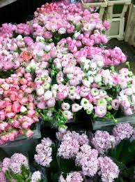 Maybe you would like to learn more about one of these? 28th Street Flower Market Nyc Jane Guerin Flowers
