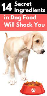 This includes xantham gum, cord gluten, artificial food coloring, and more. Pin On Dogs Are Life