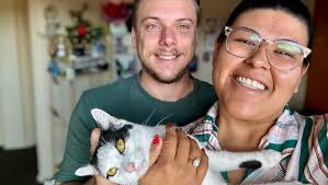 Missing Cat in Odenville, Alabama, near Sanie Rd