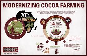 Bitter Sweets Food Infographic Cocoa Infographic