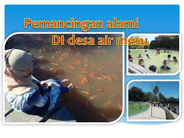 Wisata Pemancingan Alami Terletak Di Desa Air Mesu Bangka Tengah Youtube