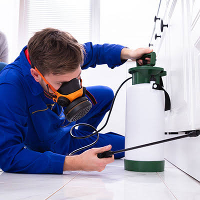 Outdoor Spraying Treatment