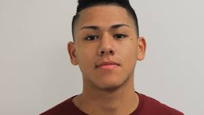 Holland Sentinel All-Area Boys Soccer First Team