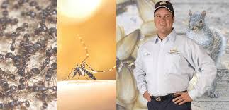 Southern pest control and its affiliated companies provide quality termite and pest control services each year to over 40,000 homeowners in virginia, maryland, georgia, texas, and. Pest Control Exterminators Dc Md Va Croppmetcalfe