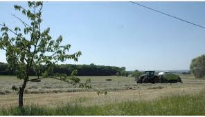 Bienvenue les vers de terre est un documentaire sur l'agriculture de conservation et de régénération des sols qui nous fait découvrir les enjeux d'une agriculture durable en donnant la parole à ceux qui la pratiquent et s'investissent dans son développement. Volstroff Bienvenue Les Vers De Terre Le Film Projete Ce Vendredi A Volstroff