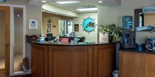 Lifetime vision care, saint petersburg, fl. Lifetime Smiles Dental Care