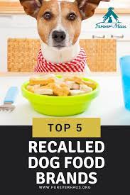 Top 5 Recalled Dog Food Brands Furever Haus Dog Food Recipes Dog Food Recall Dog Food Brands